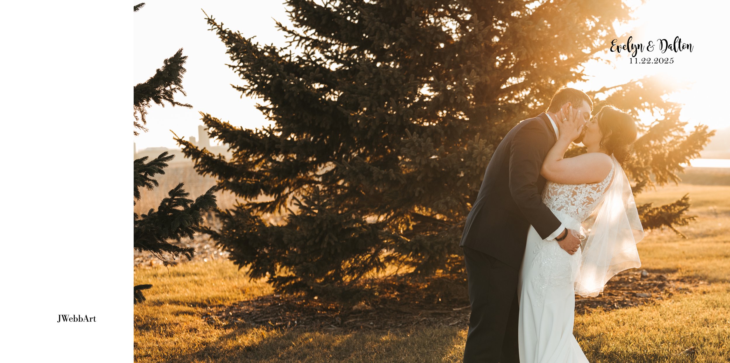 photo cover option 4 with gold debossing or black text the same as your guest book with color image or black and white image.jpg