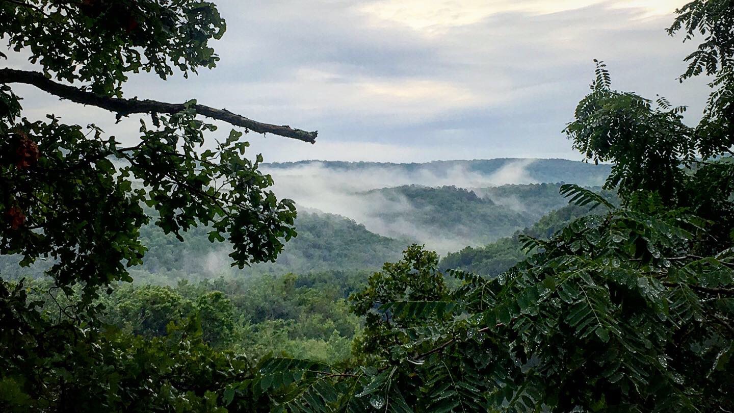 The Last Four Years - Why I'm Doing This