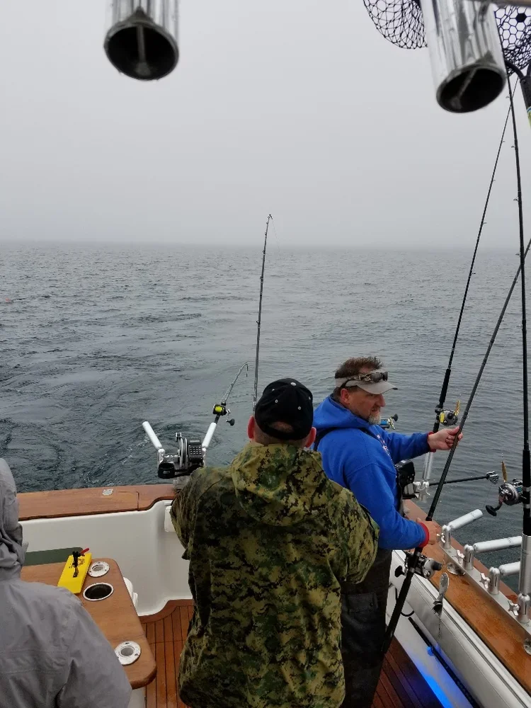 20180519_085704_resized_1.webp