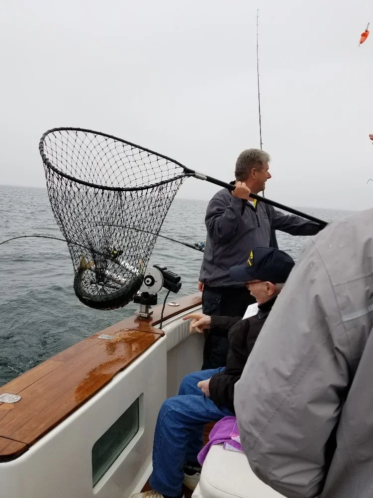 20180519_094447_resized_1.webp