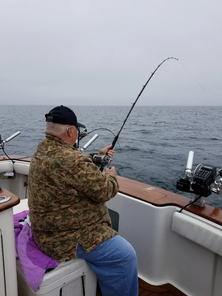 20180519_100802_resized_1.webp