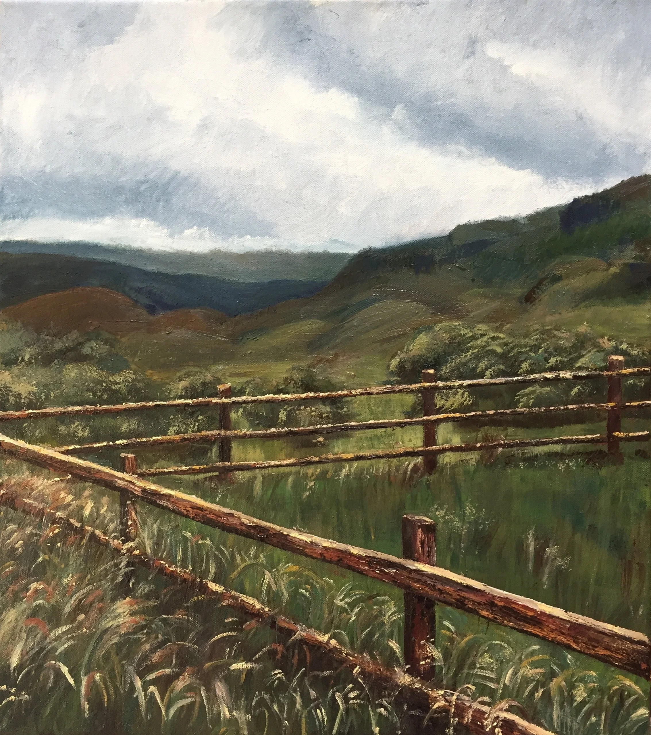 Kilarney National Park, County Kerry, Ireland 