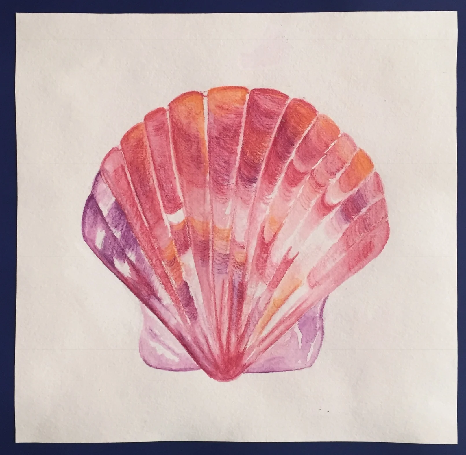  Watercolor on paper  18” x 18”  2016 