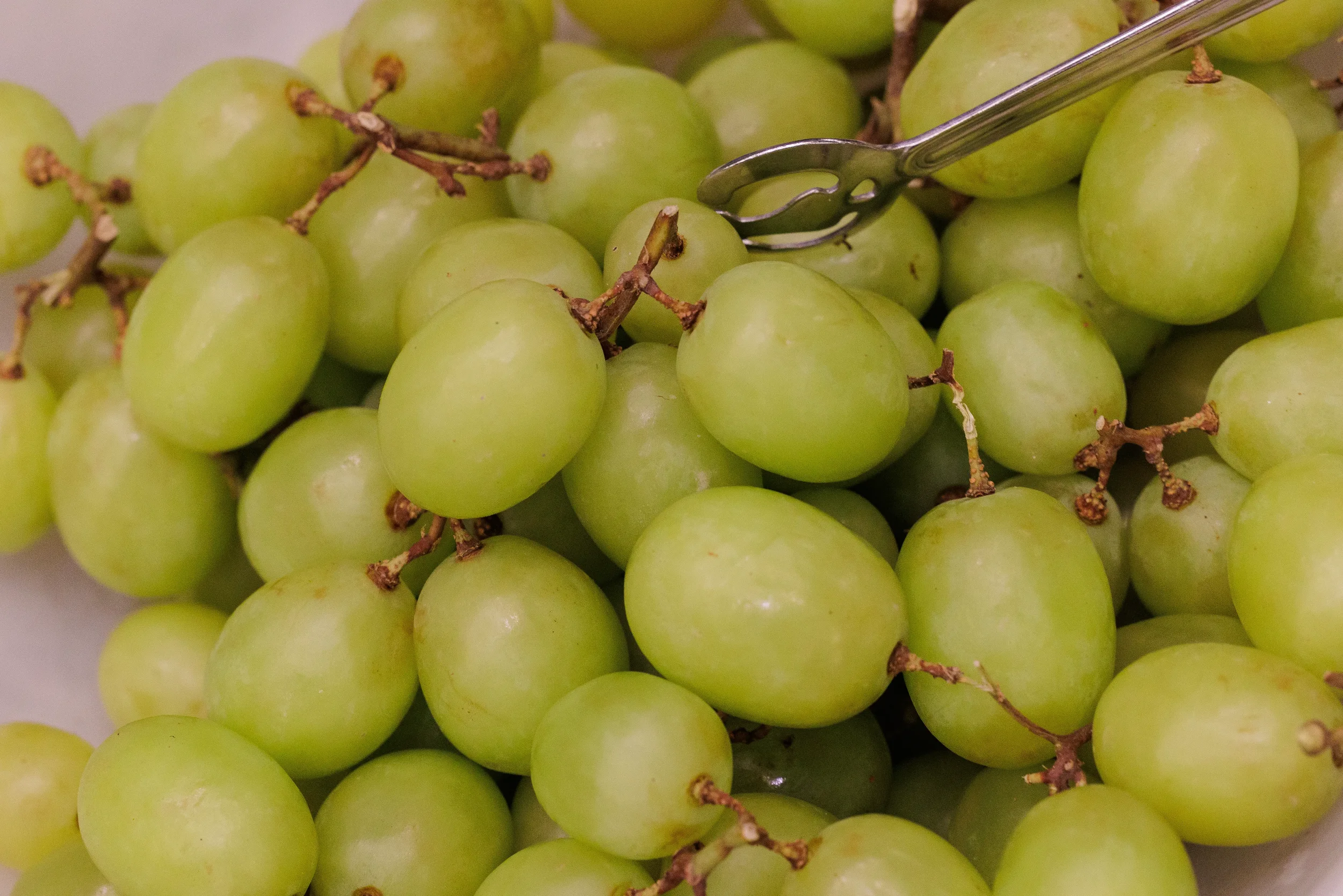 Close-up of fresh green grapes with serving tongs at catering station during Orlando corporate event