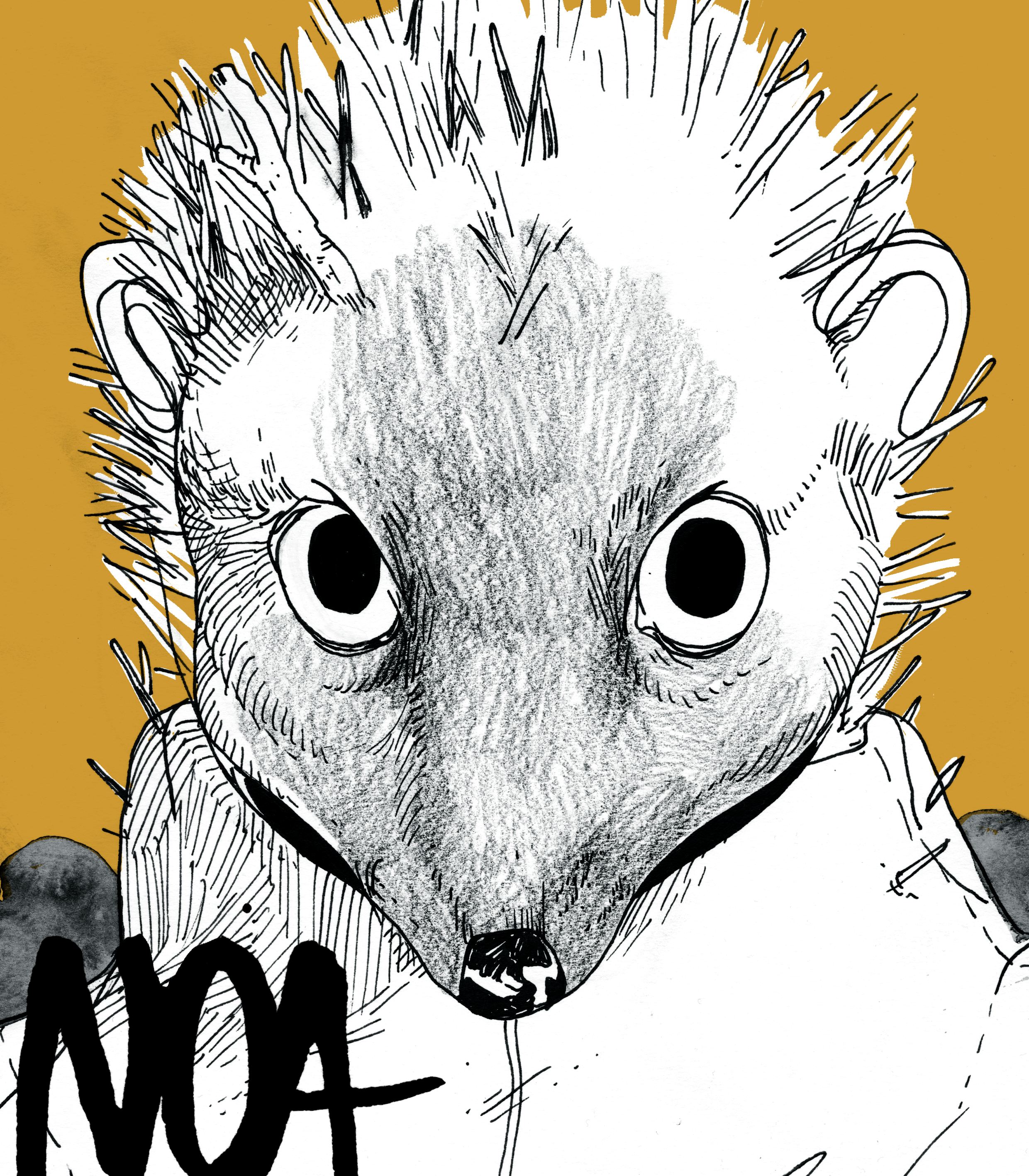 Comic (cover): Noa 2019, ink on paper