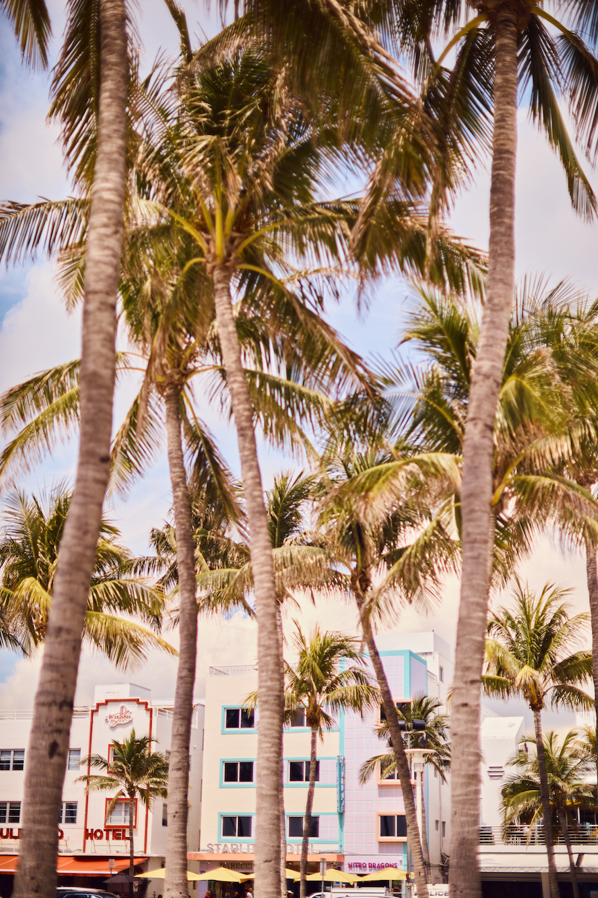 #eyecandytrip Miami