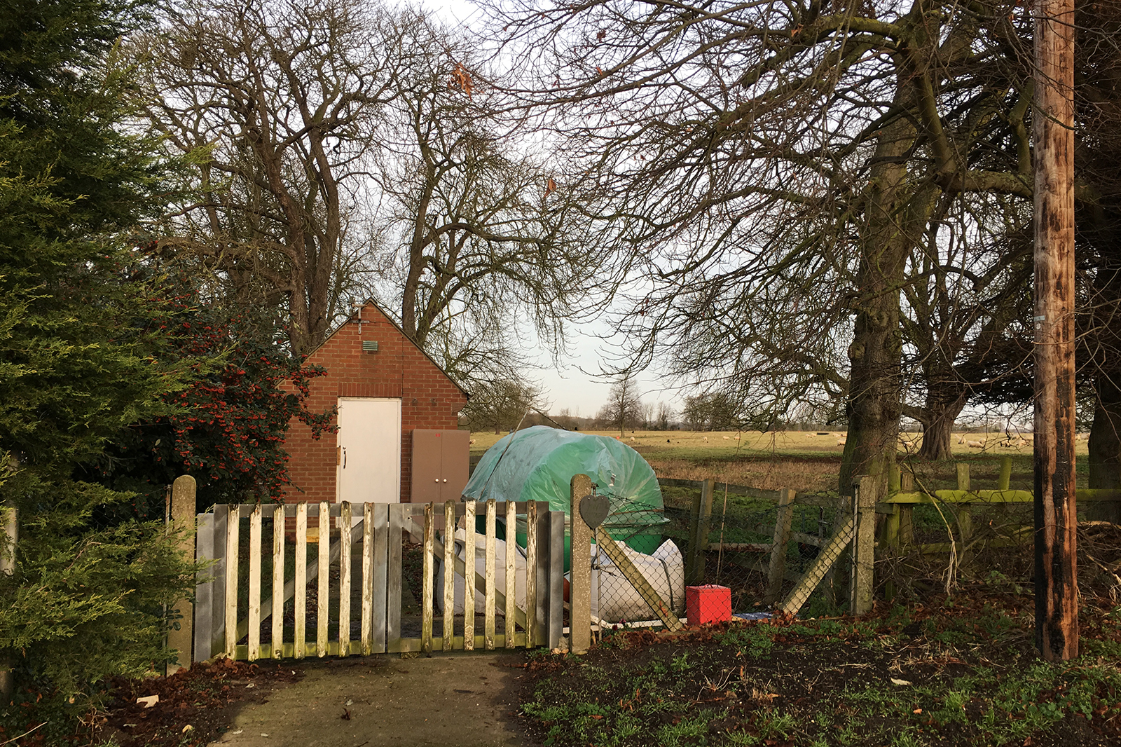Site Before.jpg