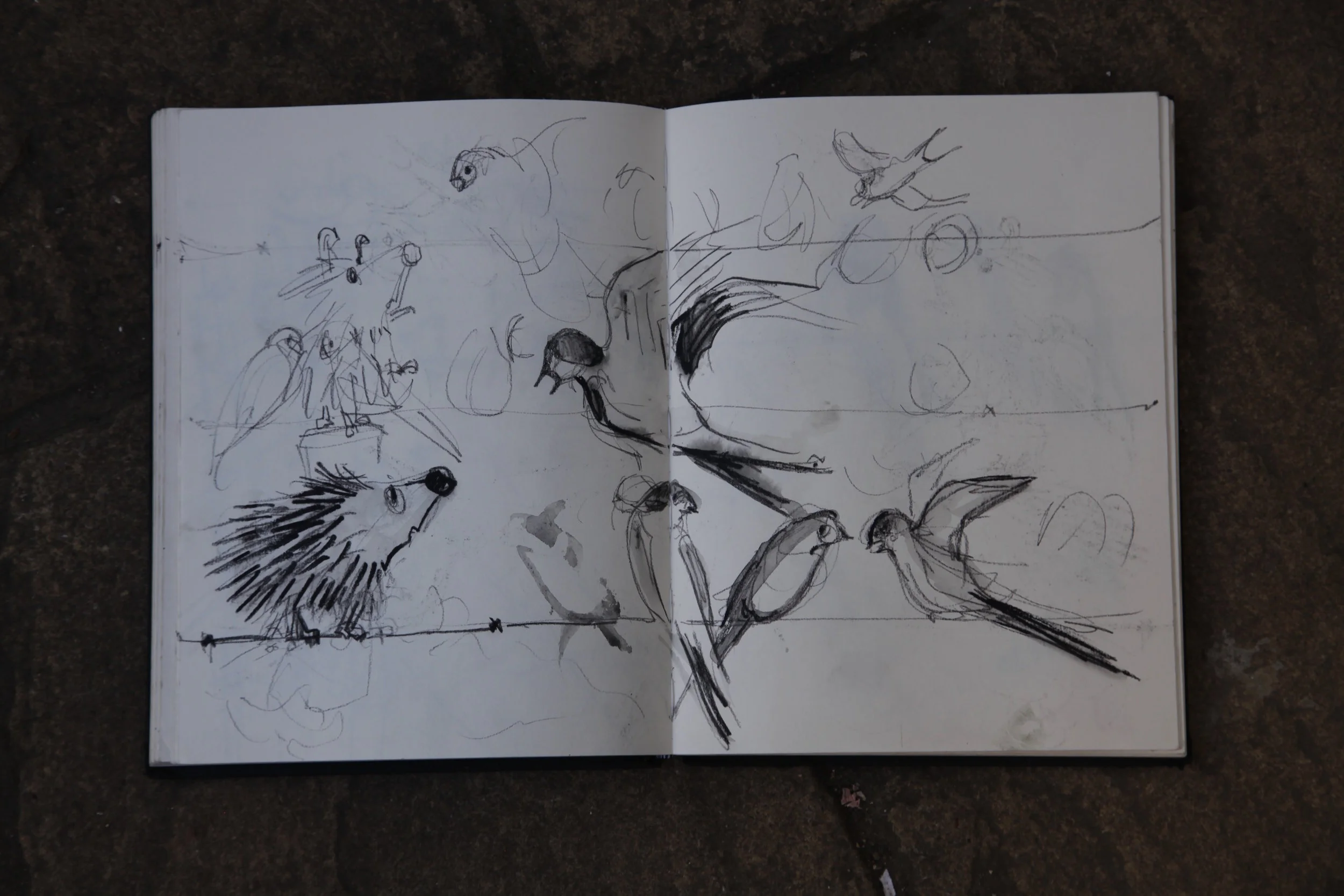 But cold winter is coming....