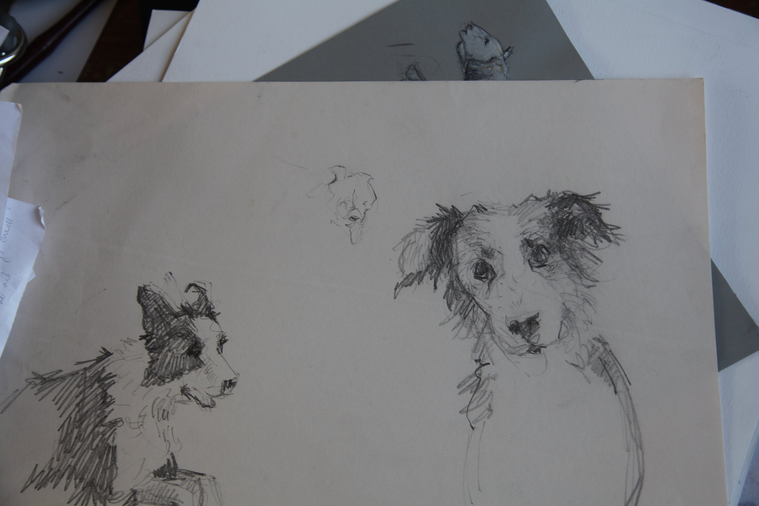 ...but then he became more dog-like