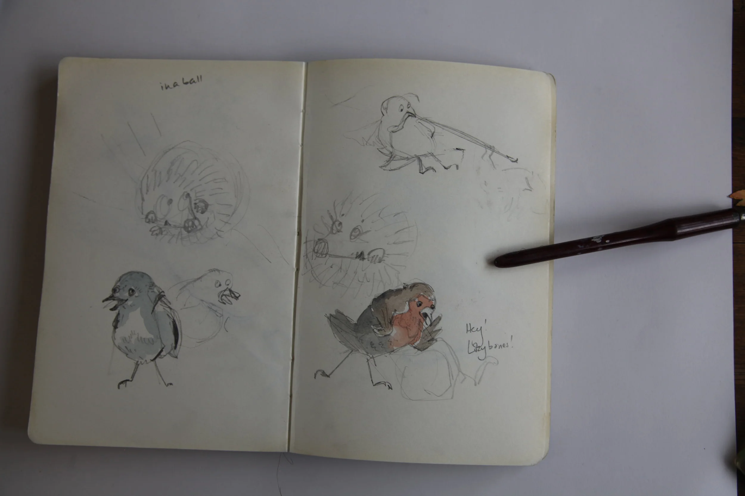 A spring sketchbook