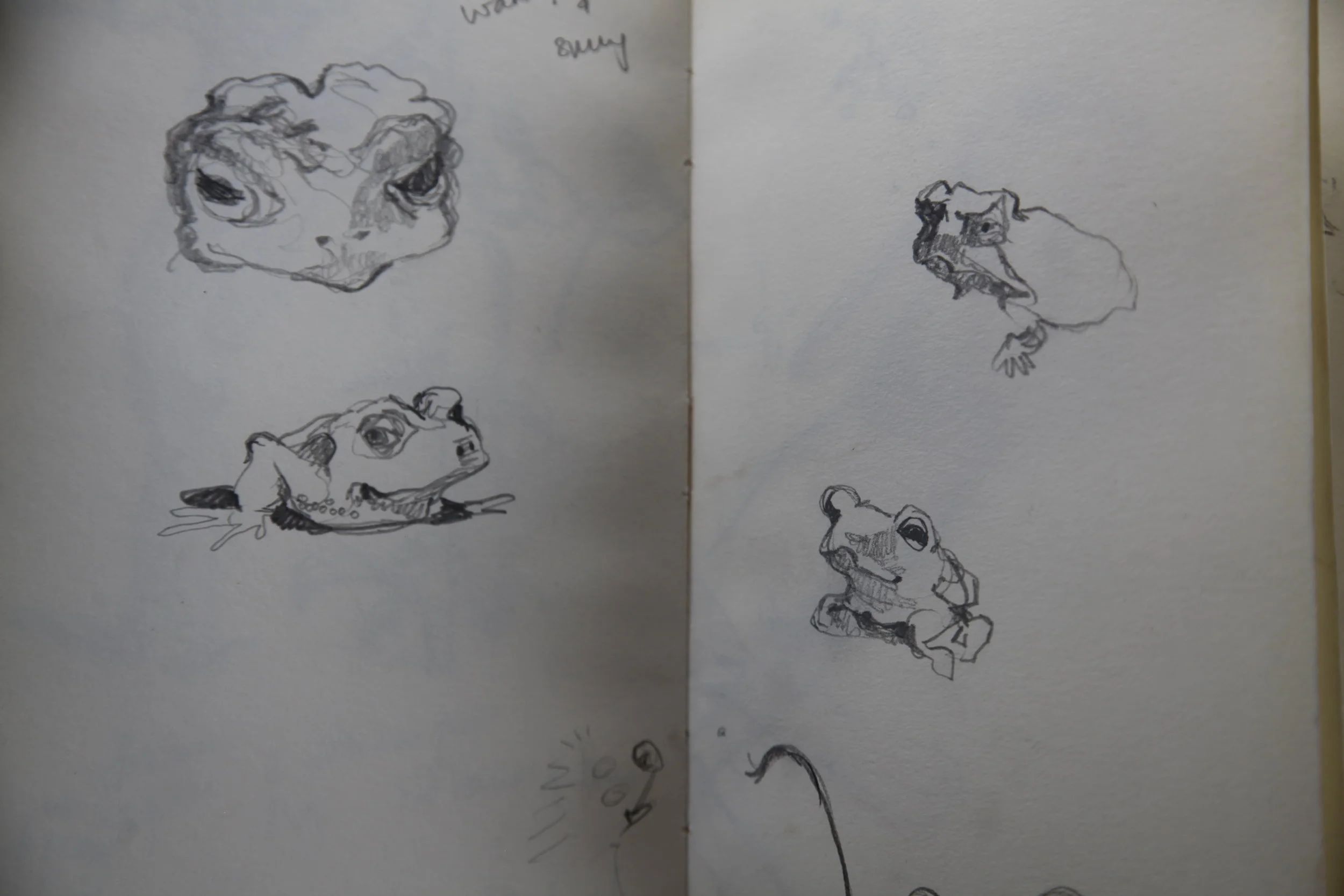 The toads are coming out