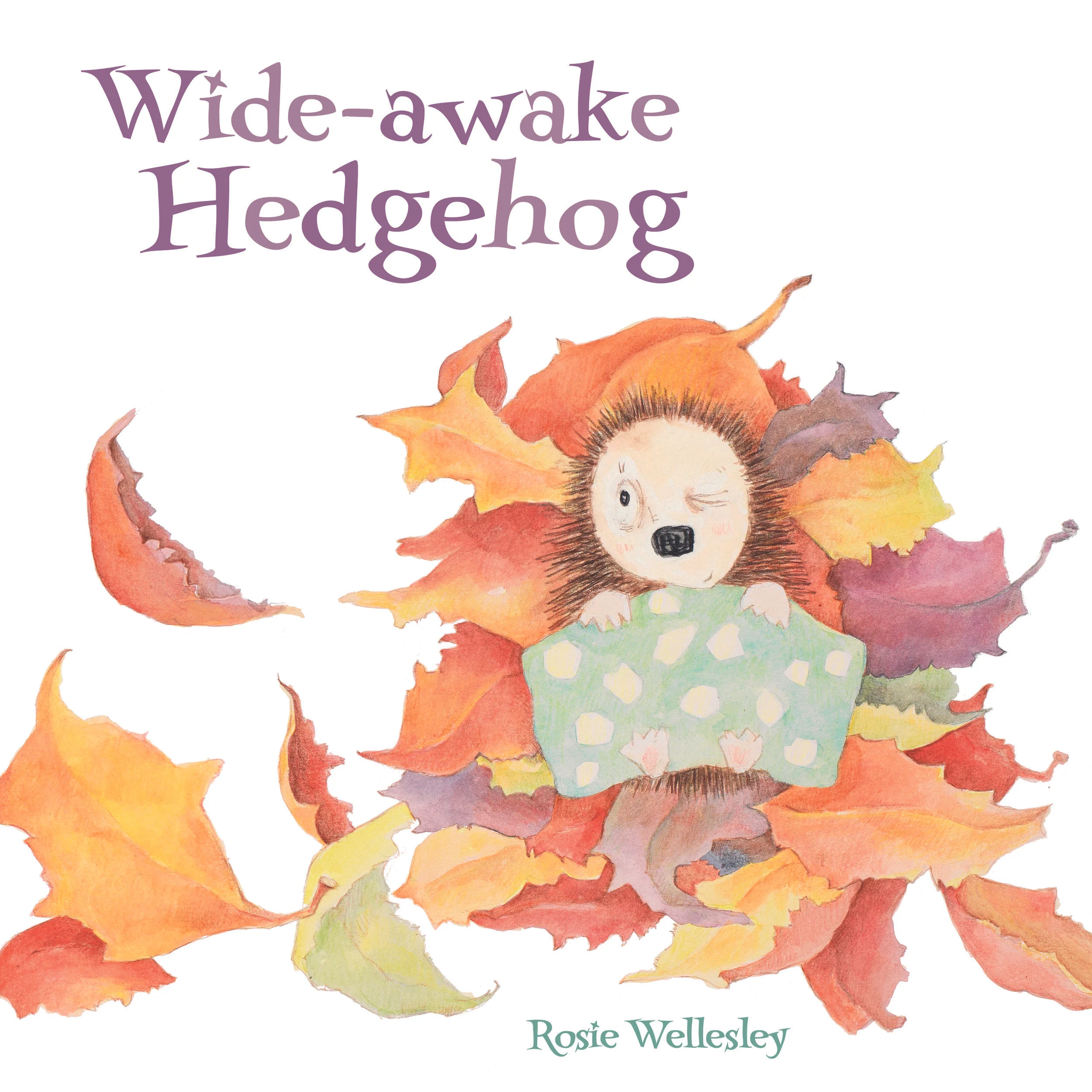 Wide-Awake Hedgehog