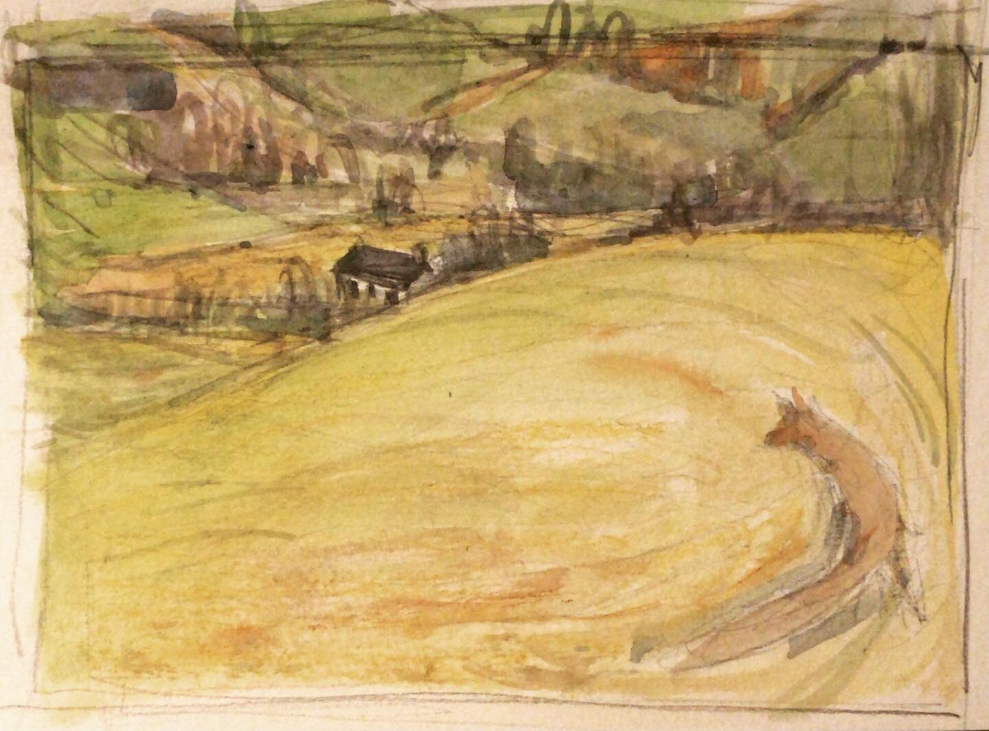 This field always makes the dogs go a little bit crazy, haring down its open grassy slope.

#paintingwales #landscape #walktosee #sketchbook