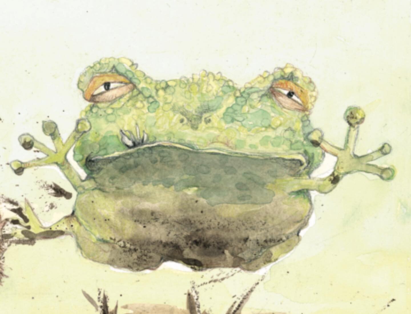 BUFO BUFO! A reminder that the humble and warty toad also deserves celebrating on #worldwildlifeday 
.
Slightly alarmingly, the common toad is a biodiversity priority species species in the UK because of recent declines.
.
.
.
.
.
#worldwildlifeday20