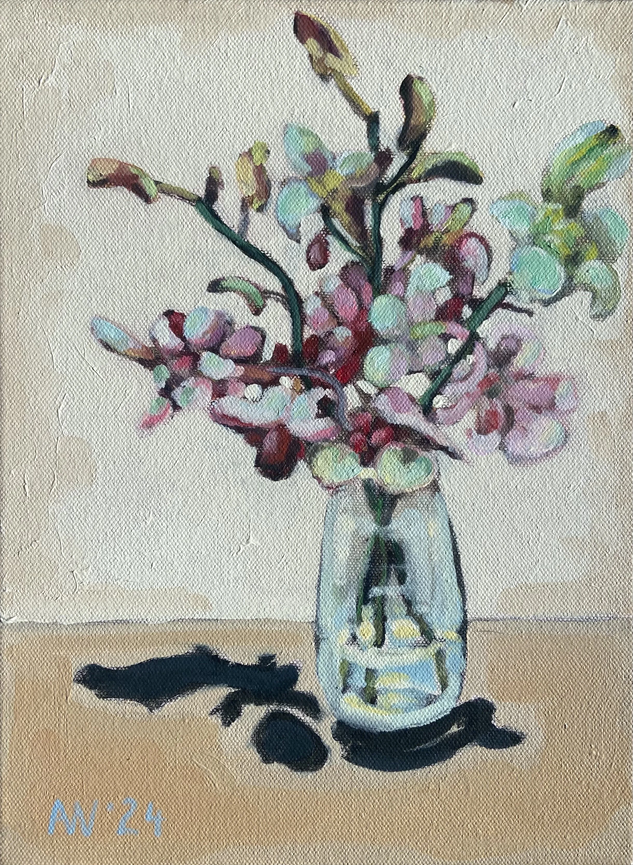 Orchid Series, Stagelit Muse