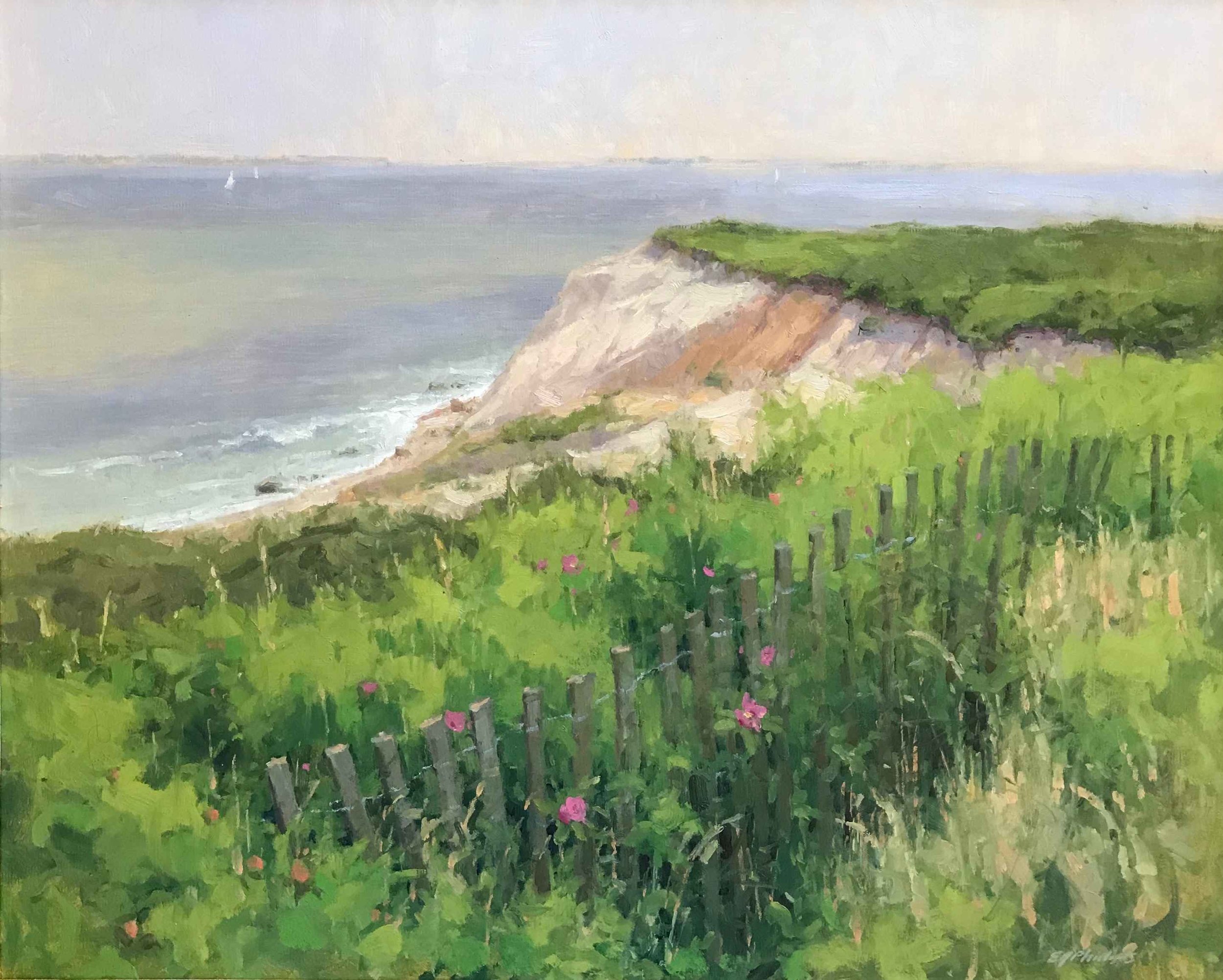 Elise Phillips_artifactsmv_North Water Gallery_marthas vineyard_view from above.jpg