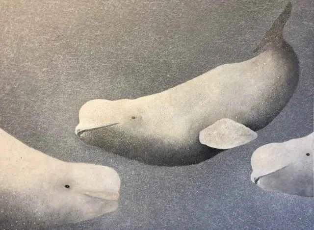 bookshelf :: cindy kane's print companions