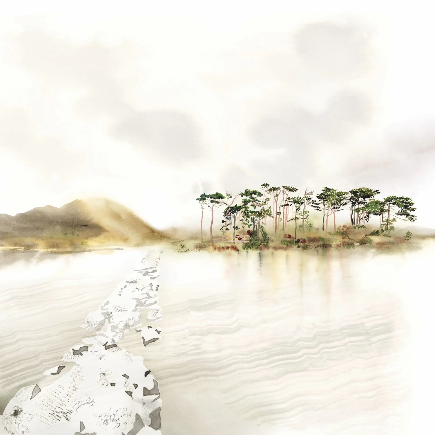 smaller web pine island clean copy.jpg