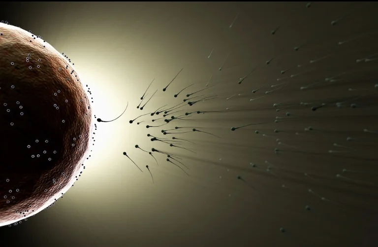 Sperms.jpeg