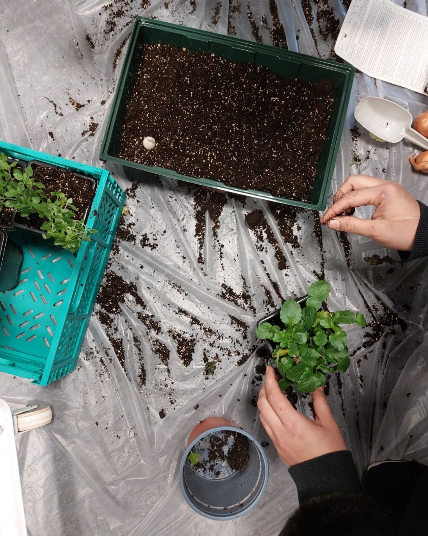 Women's Wednesdays
🪴🌱🌿🌺🌸
Because everyone deserves access to connective space ❤️

☀️🌧
#socialpractice #community #womensgroup #sharingcircle #safespace