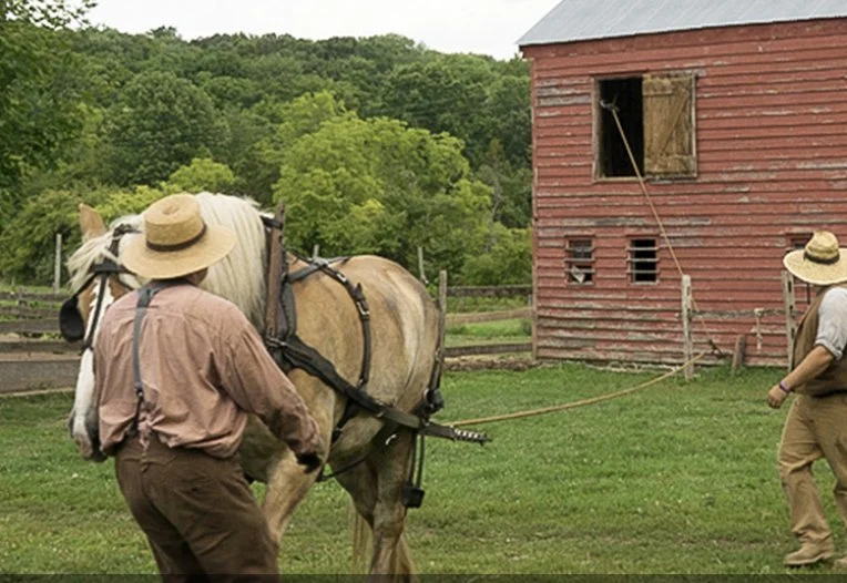 Haymaking at Howell Living Farm