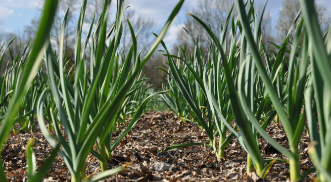 Chickadee Creek Farm Talk and Tour