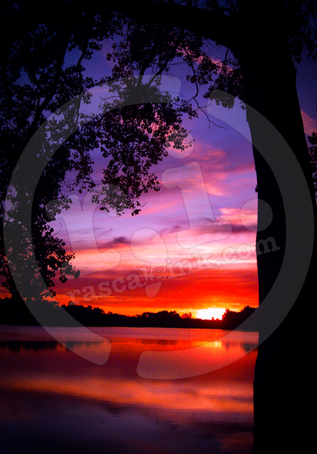 sailorsdelight_Edit.jpg