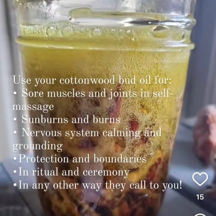 Wellness Gardens and Making Plant Medicine: Creating a pathway to wellness in your own garden