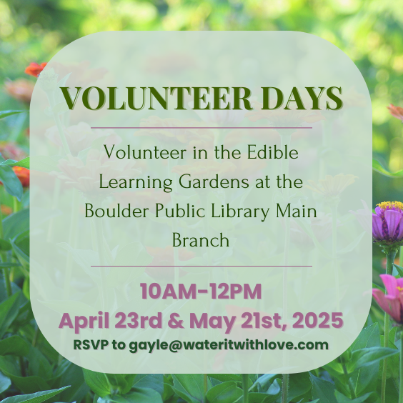 Volunteer at the Edible Learning Gardens at the Main Branch
