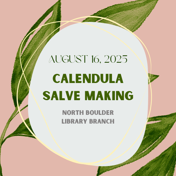 Calendula Salve Making