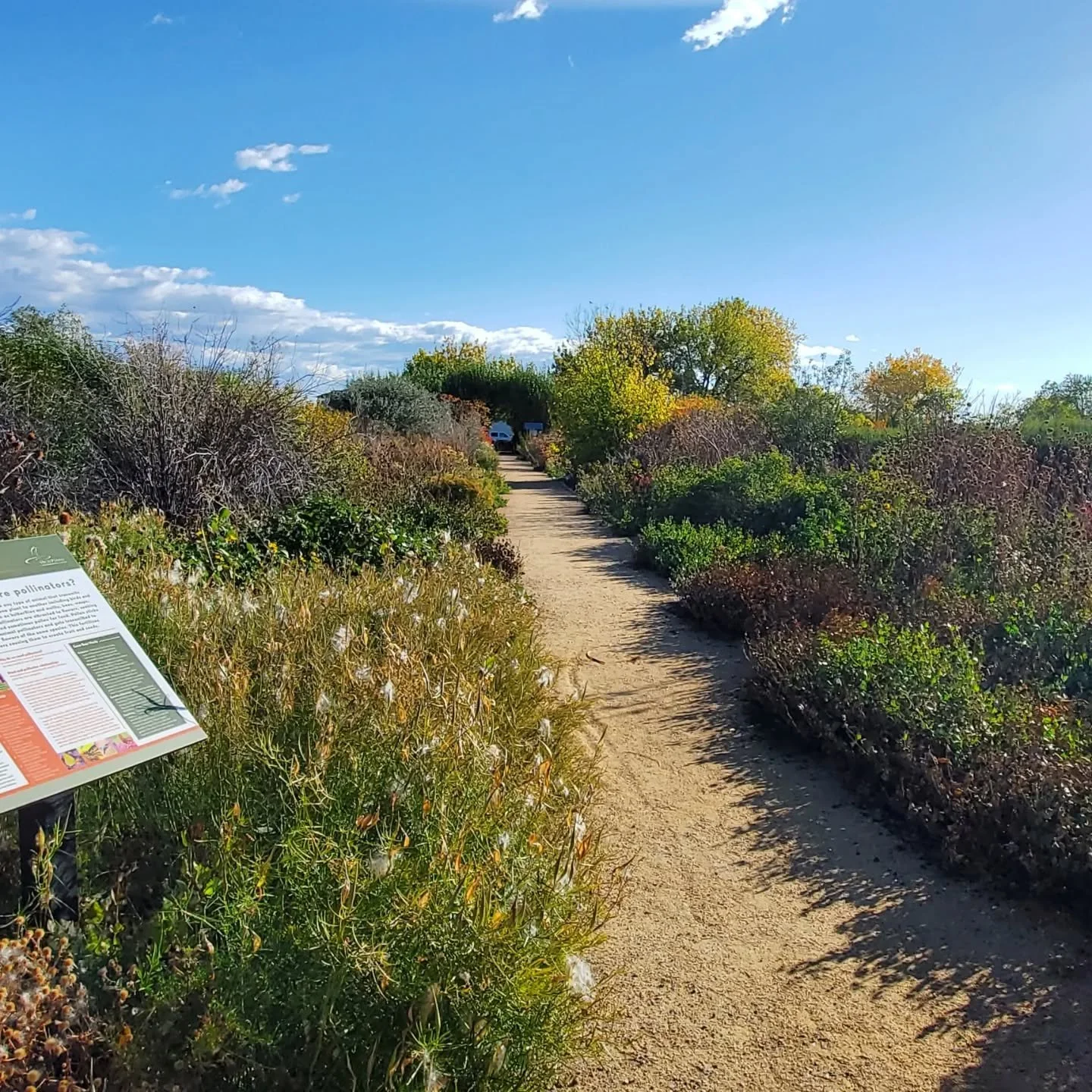 October gratitude 💛💚🤍🧡 

A random collection of my moments of gratitude: 
Many perennials are still in full bloom. Some are reblooming!  Made the first stew of the season.  Feeling nourished from the change in seasonal foods. Attended an event at