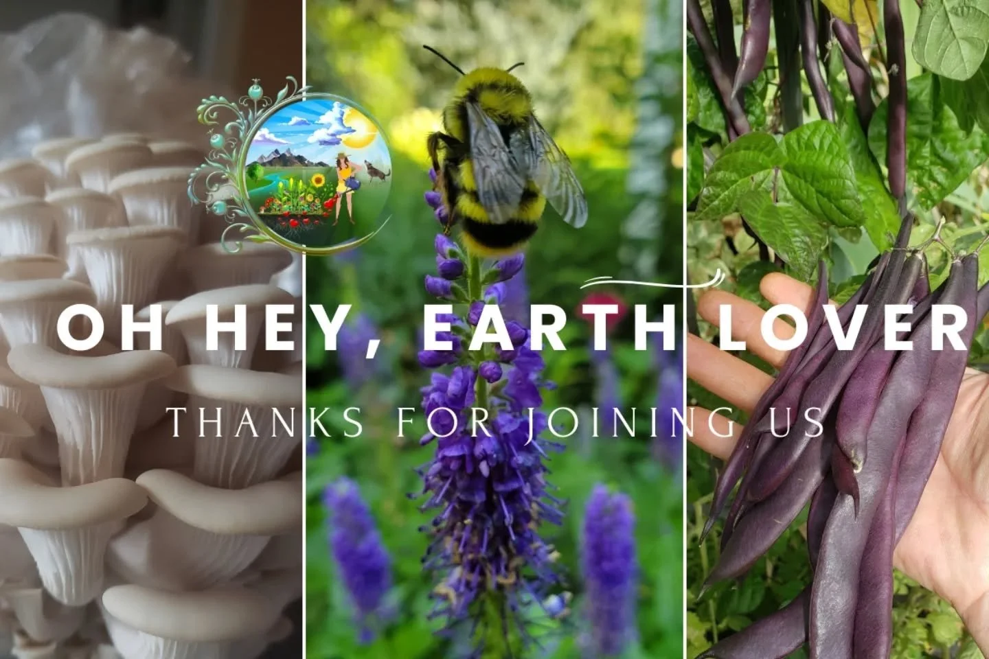 Calling all 2026 earth tenders! Interested in working with Water It With Love? If &ldquo;dependable, hardworking nature-lover&rdquo; describes you, and you&rsquo;d like to get your hands dirty in the garden, please contact us today. We are currently 