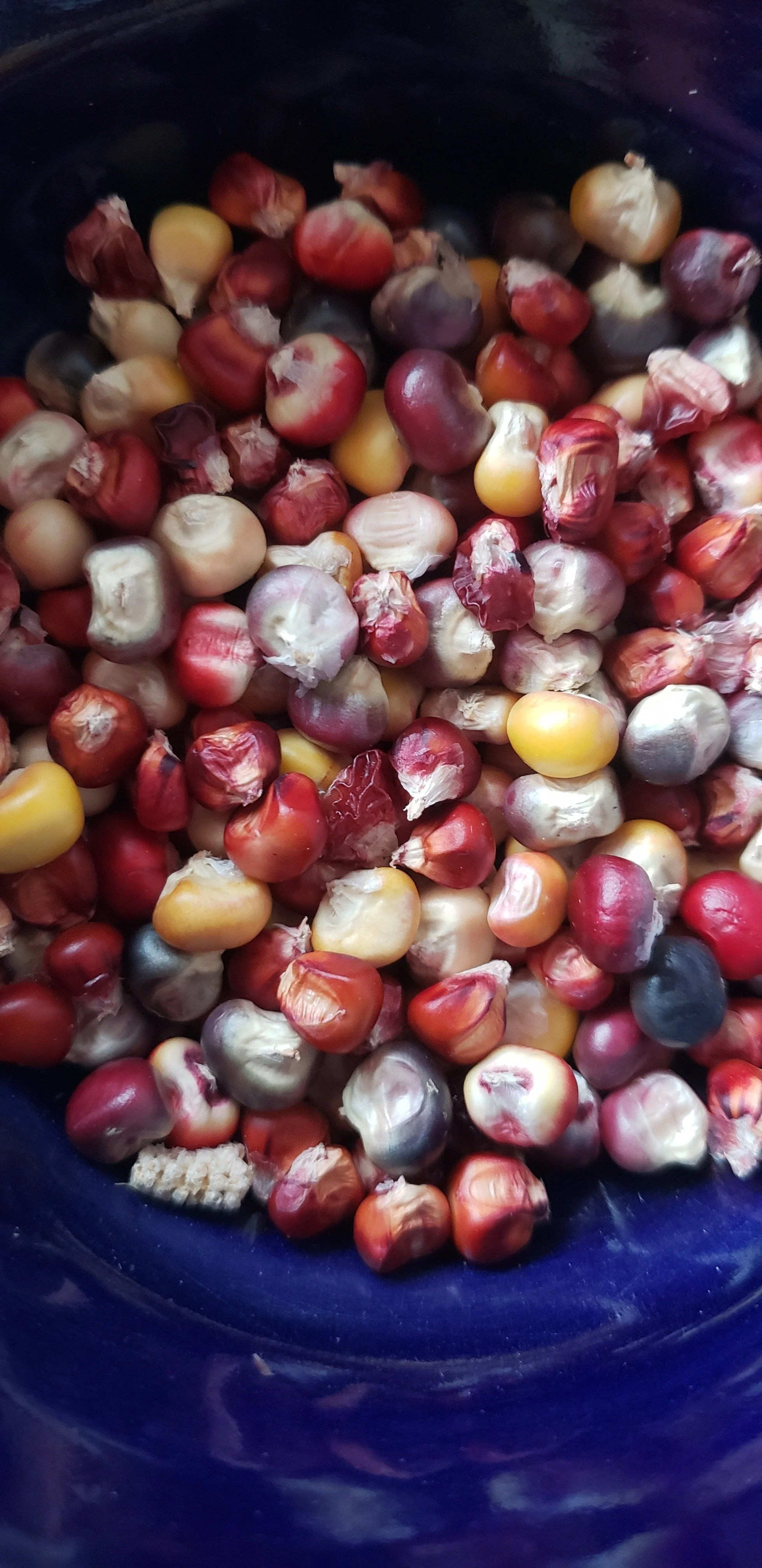 A collection of chicken eggs, some partially broken, in a black container.