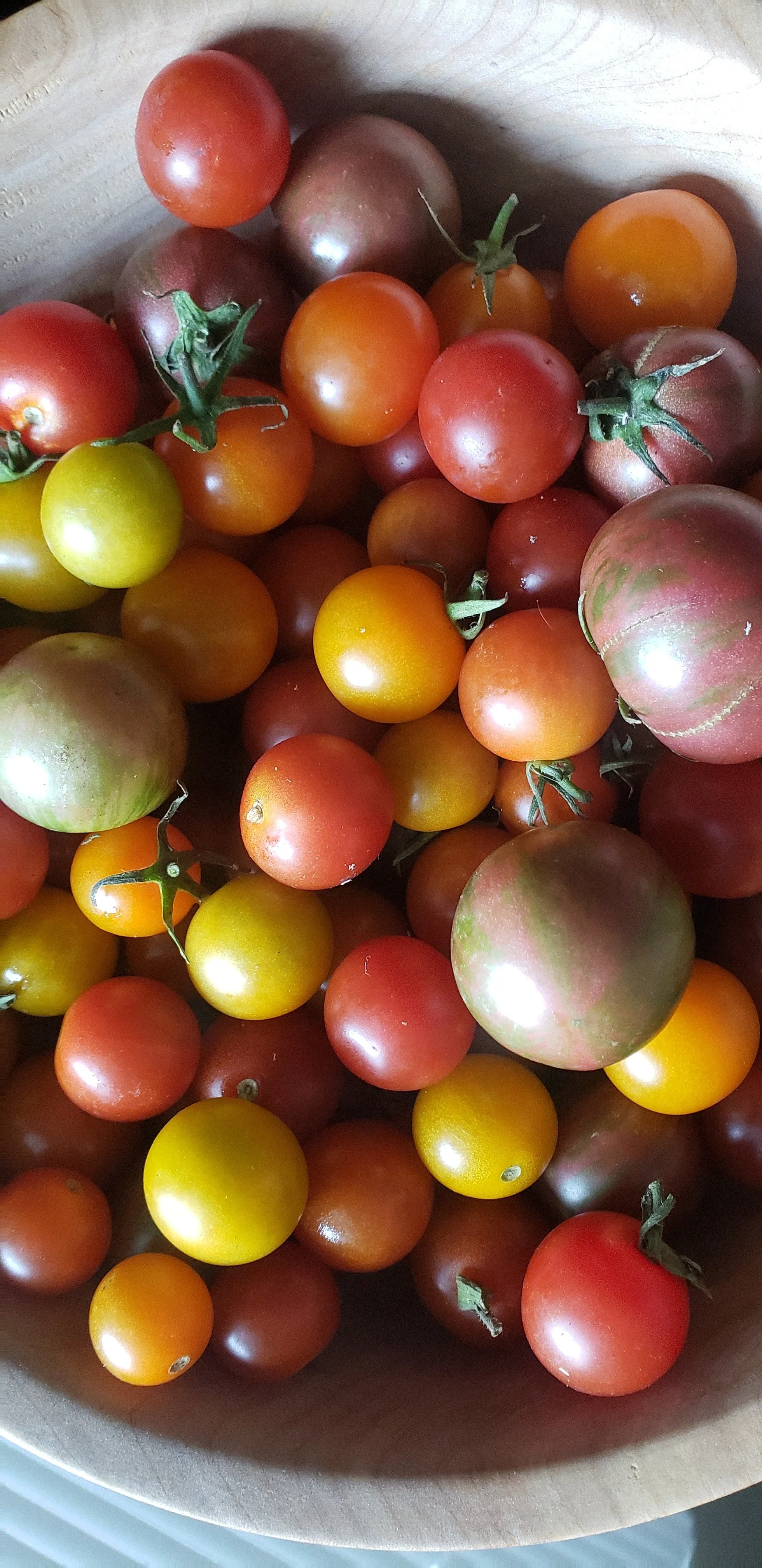 Various colors of cherry tomatoes in a bowl, including red, yellow, orange, and purple hues.