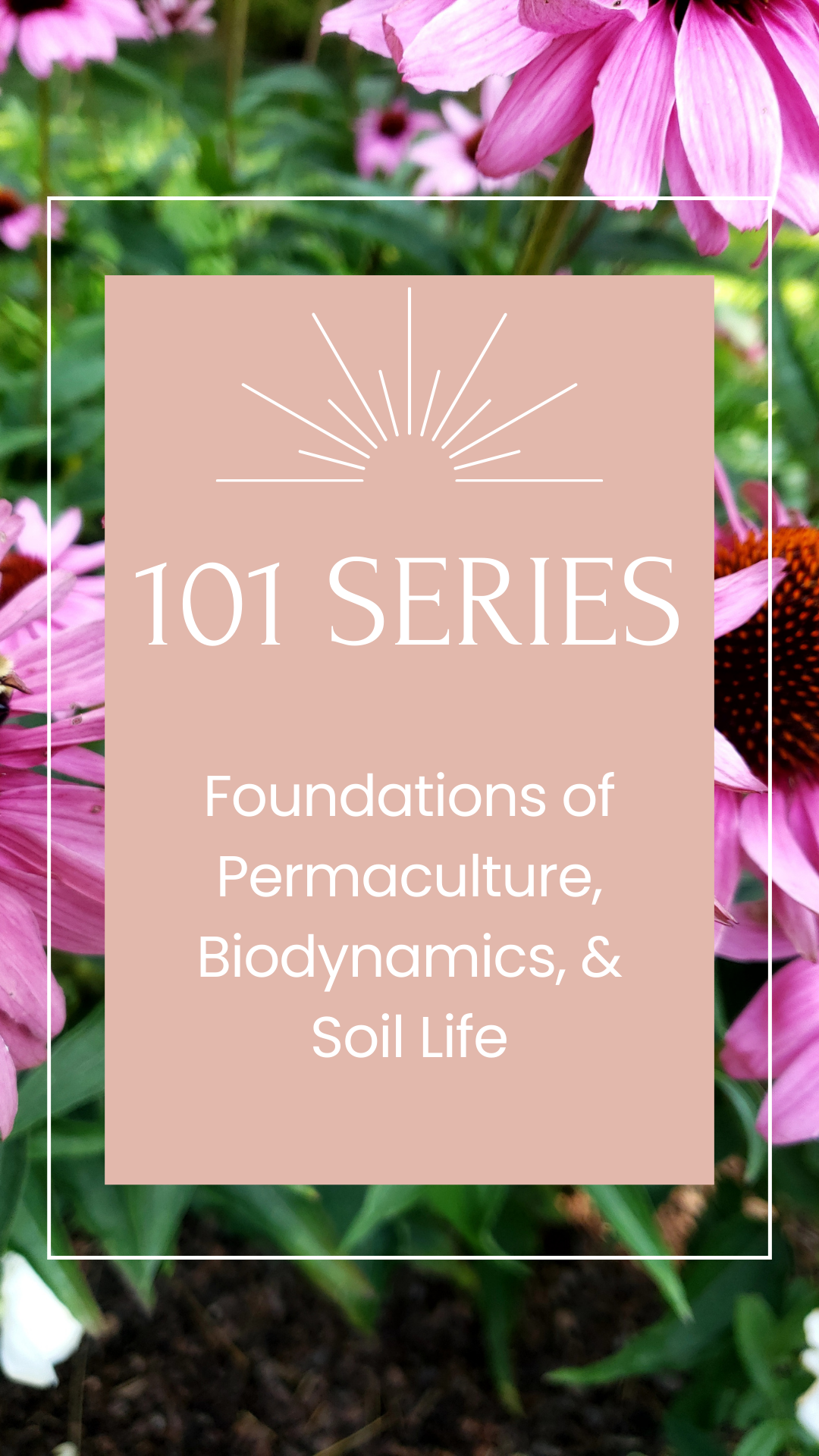 Book cover titled '101 Series: Foundations of Permaculture, Biodynamics, & Soil Life' with a background of pink flowers and green leaves.