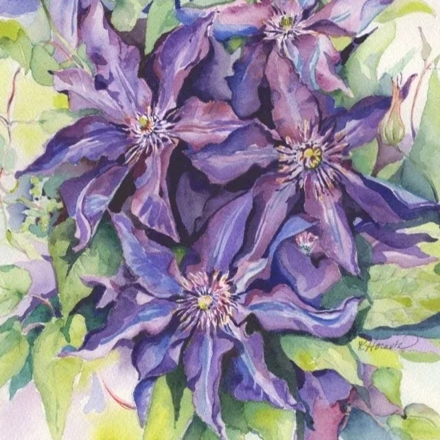 Clematis+Composite+from+Scans.jpg