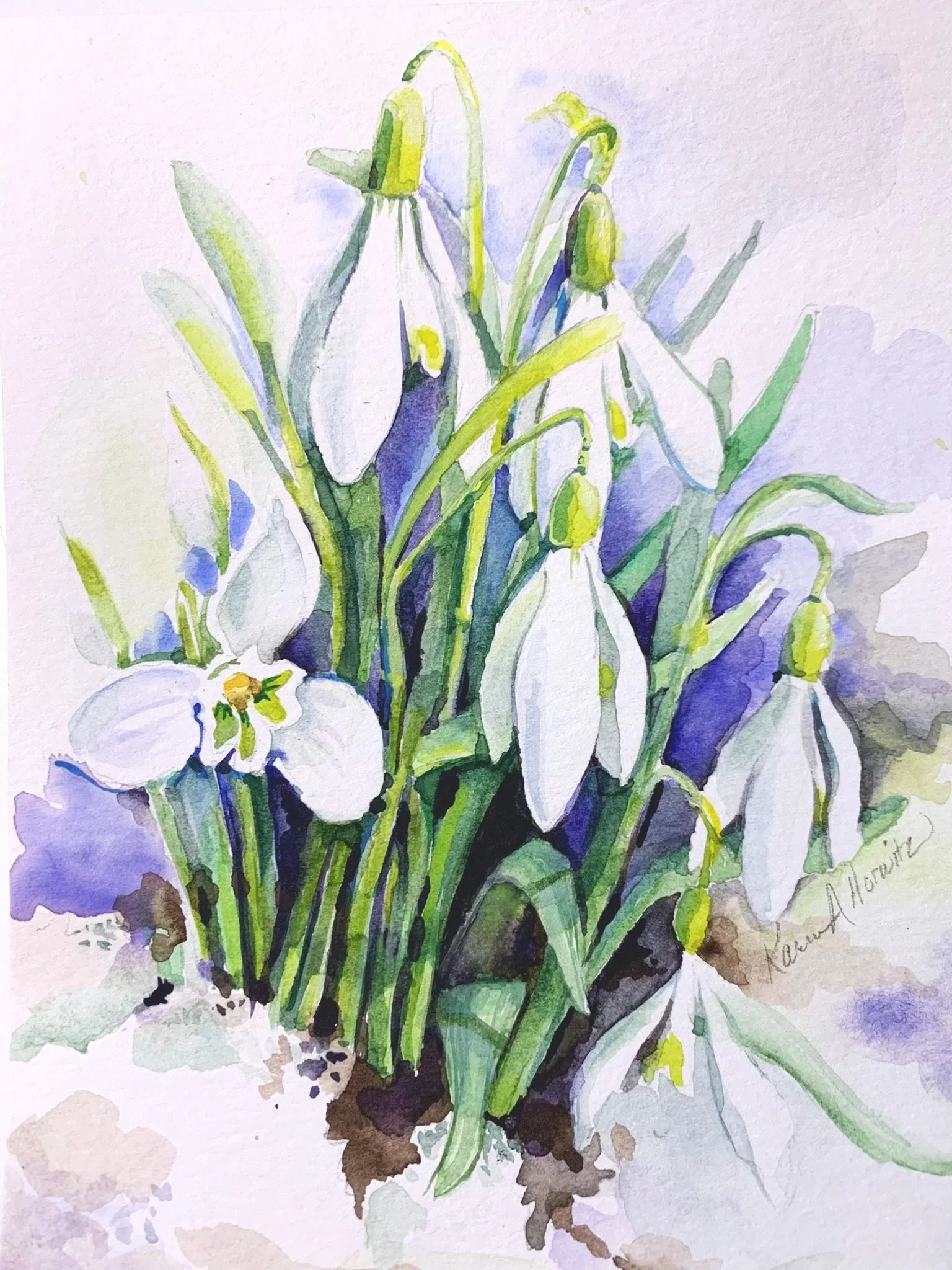 snowdrops.jpg