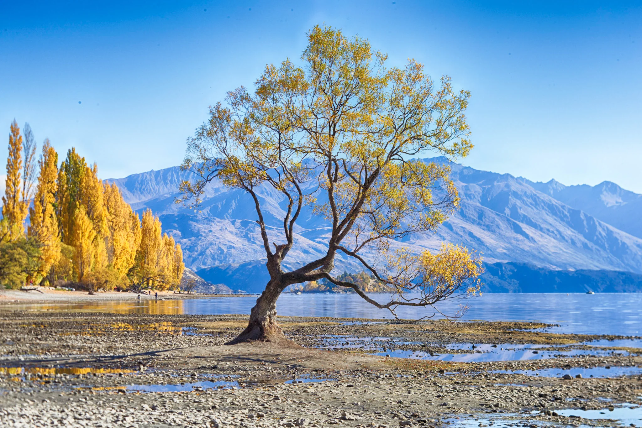 AR9Q6260-Edit_HDR.jpg