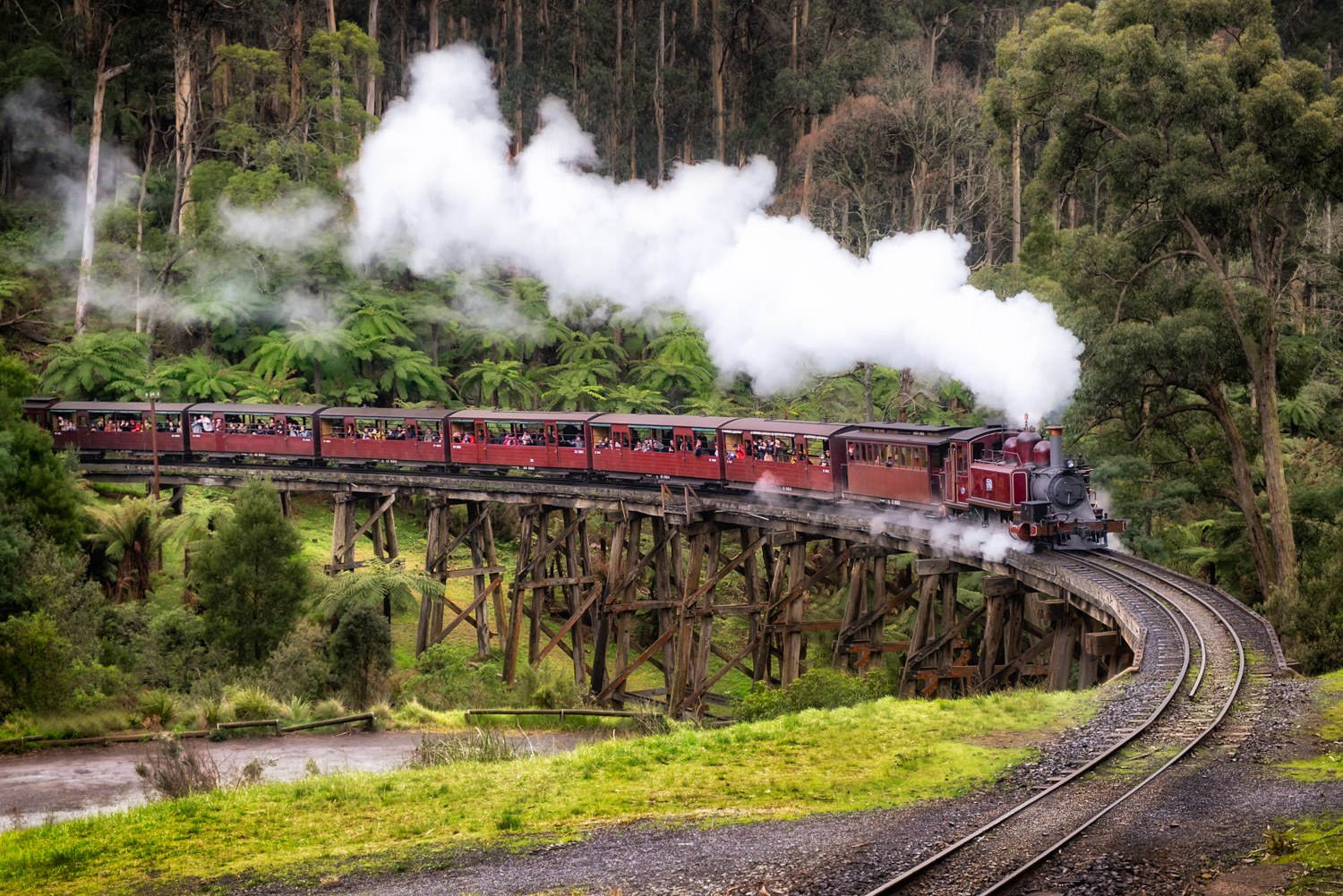 Puffing Billy