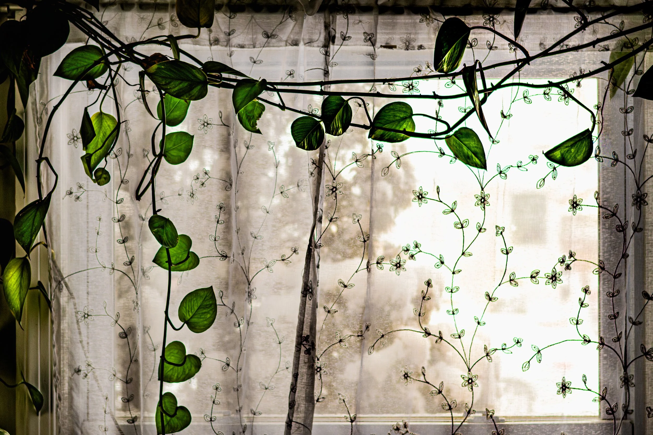 Marcos Perez 1 (Hogar)