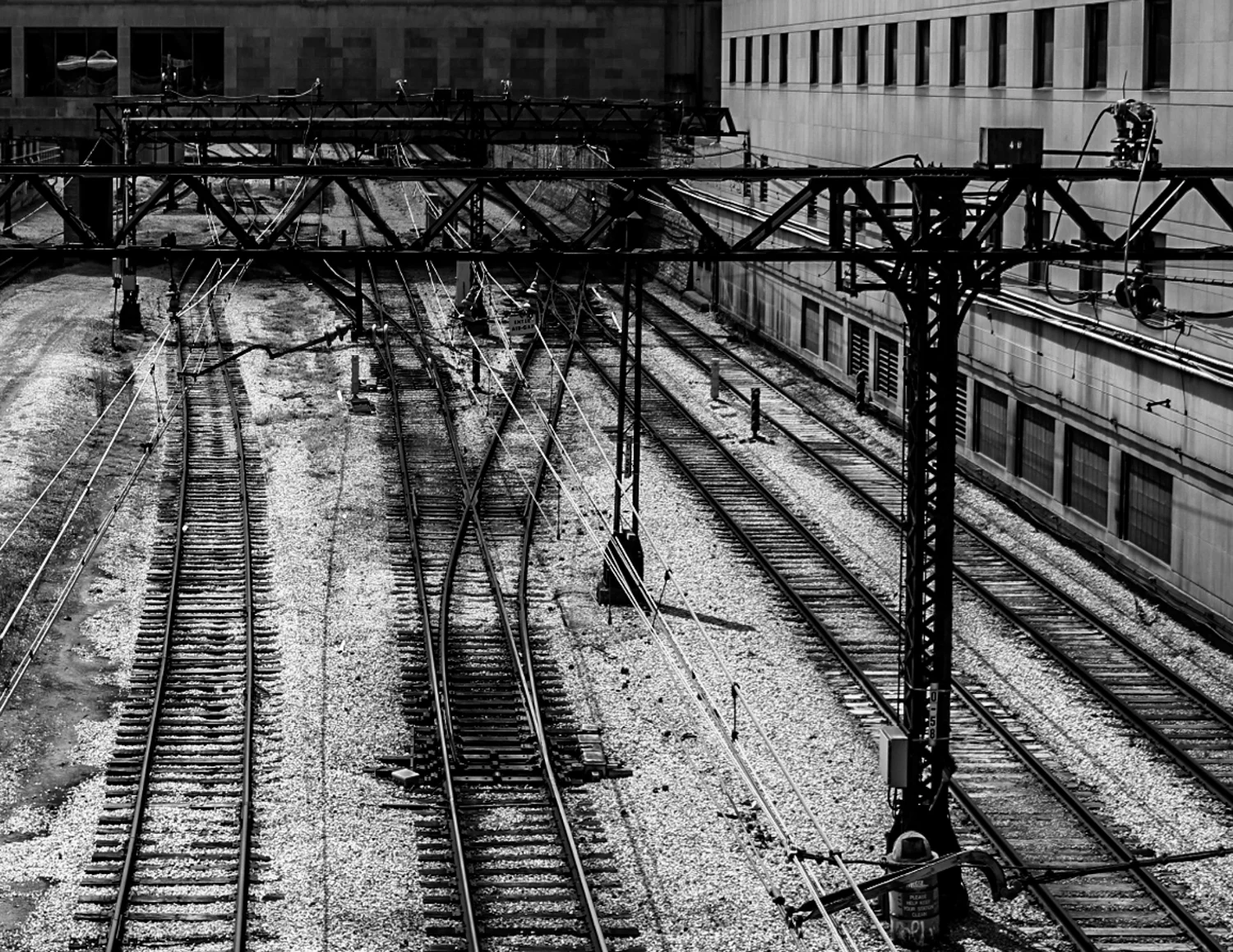 _MG_9462.jpg