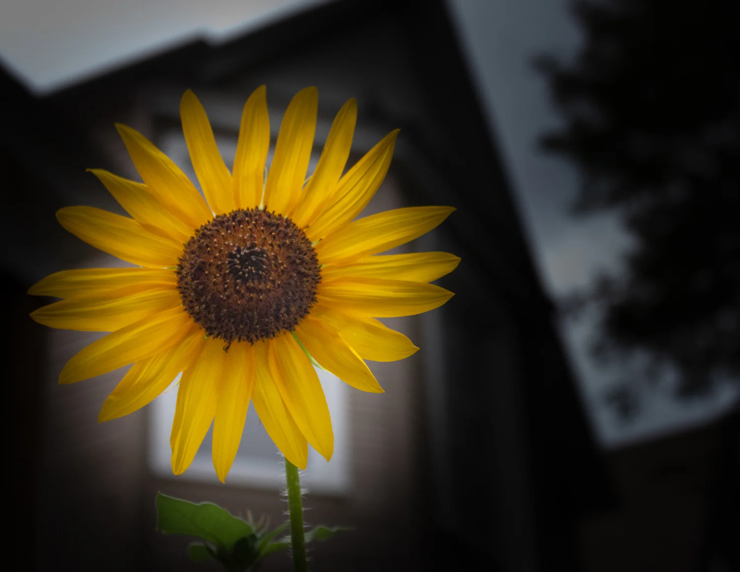 20180807-_MG_7478.jpg