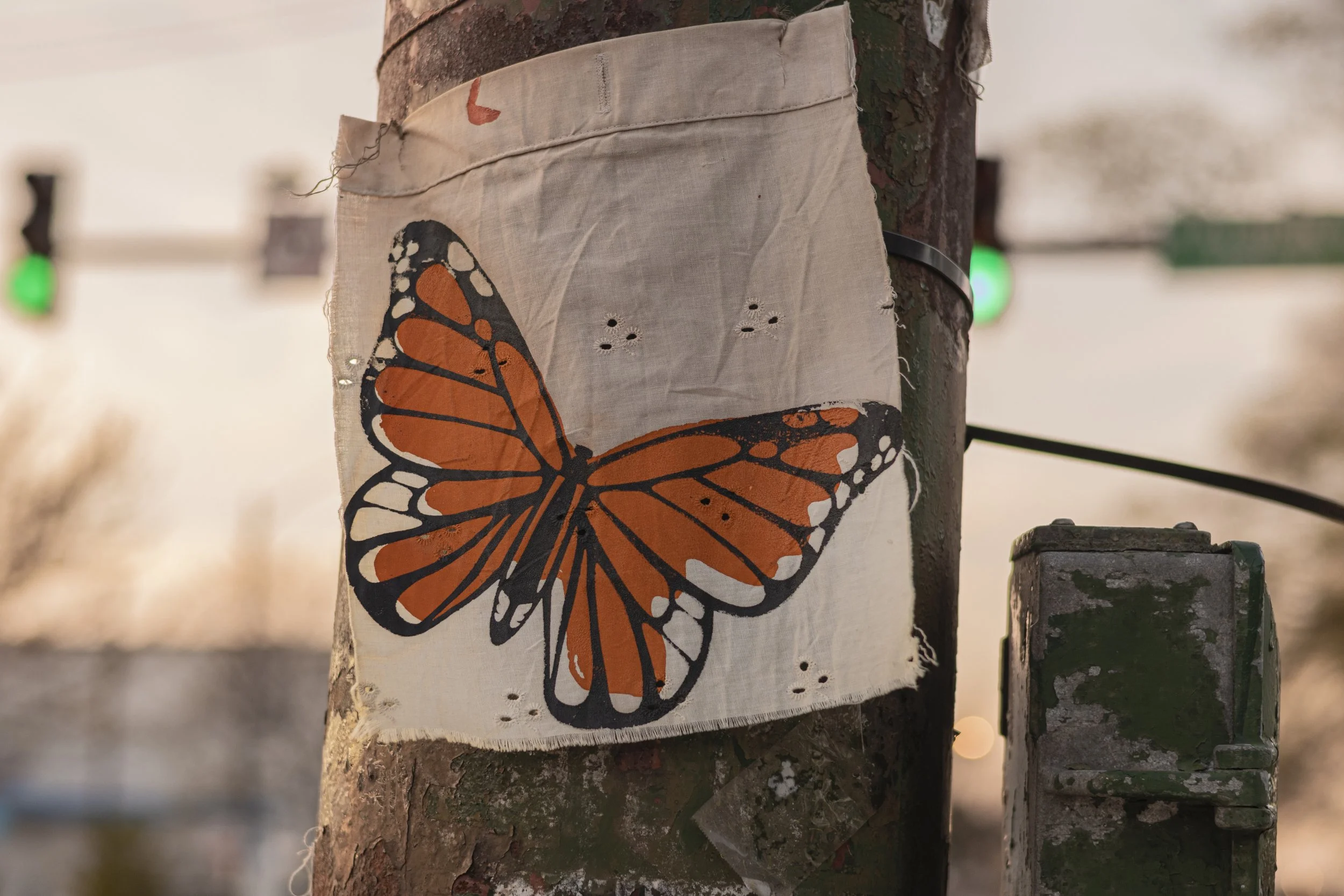 Brittany Navarrete 1 (Butterfly Effect)