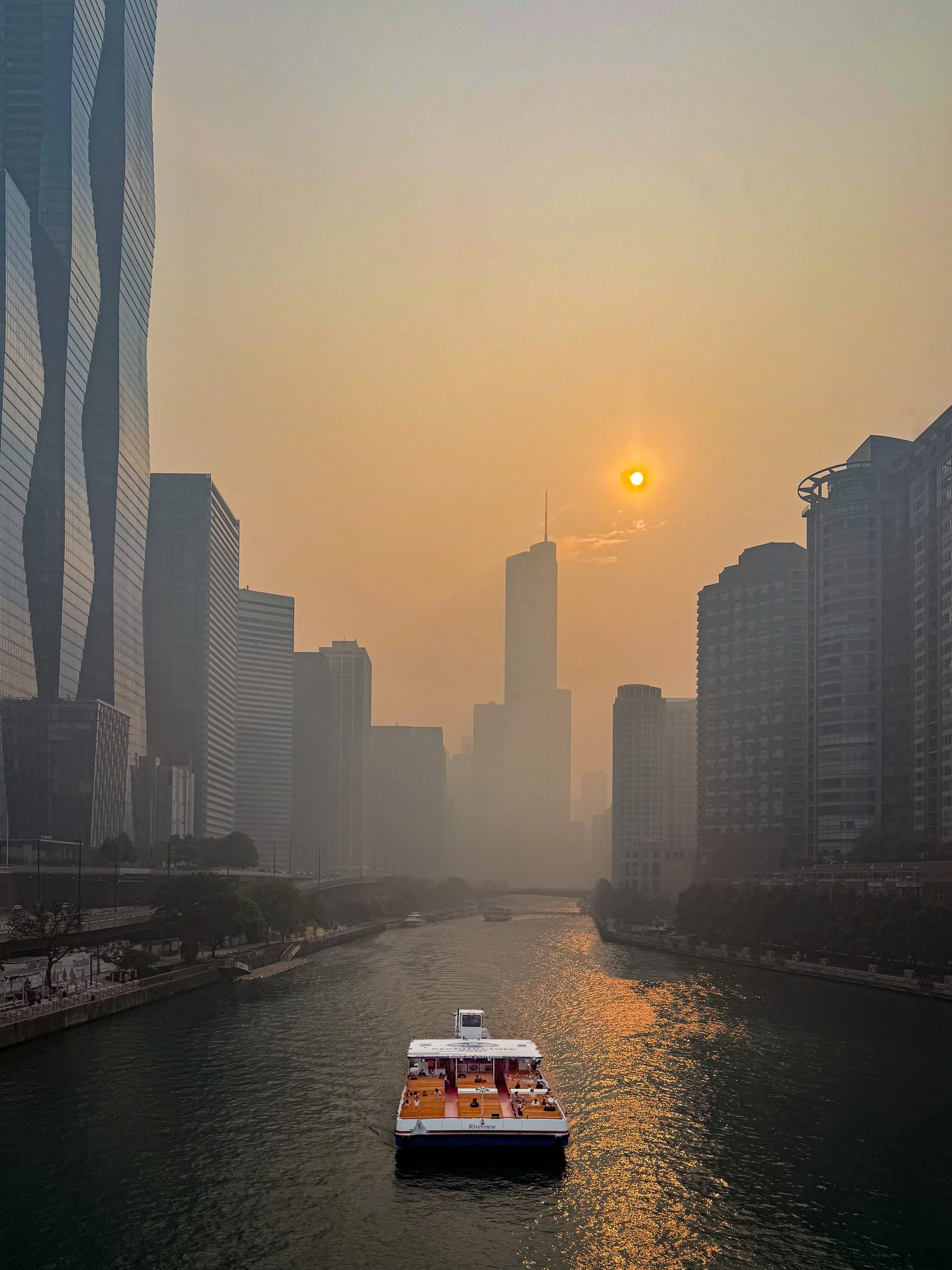 Naveera Fnu 2 (Golden Haze)