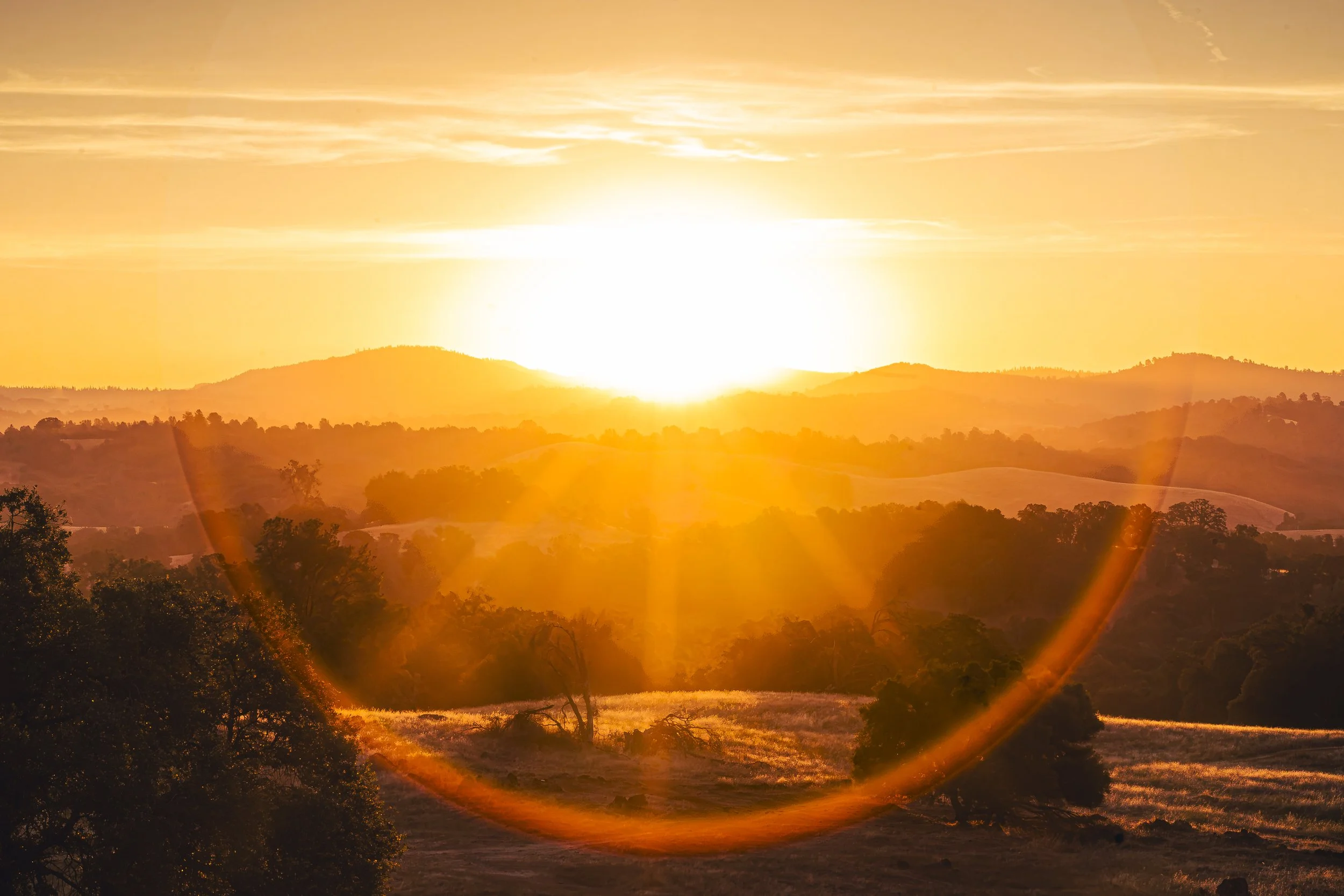 Anthony Acevedo - Solar Halo.jpg