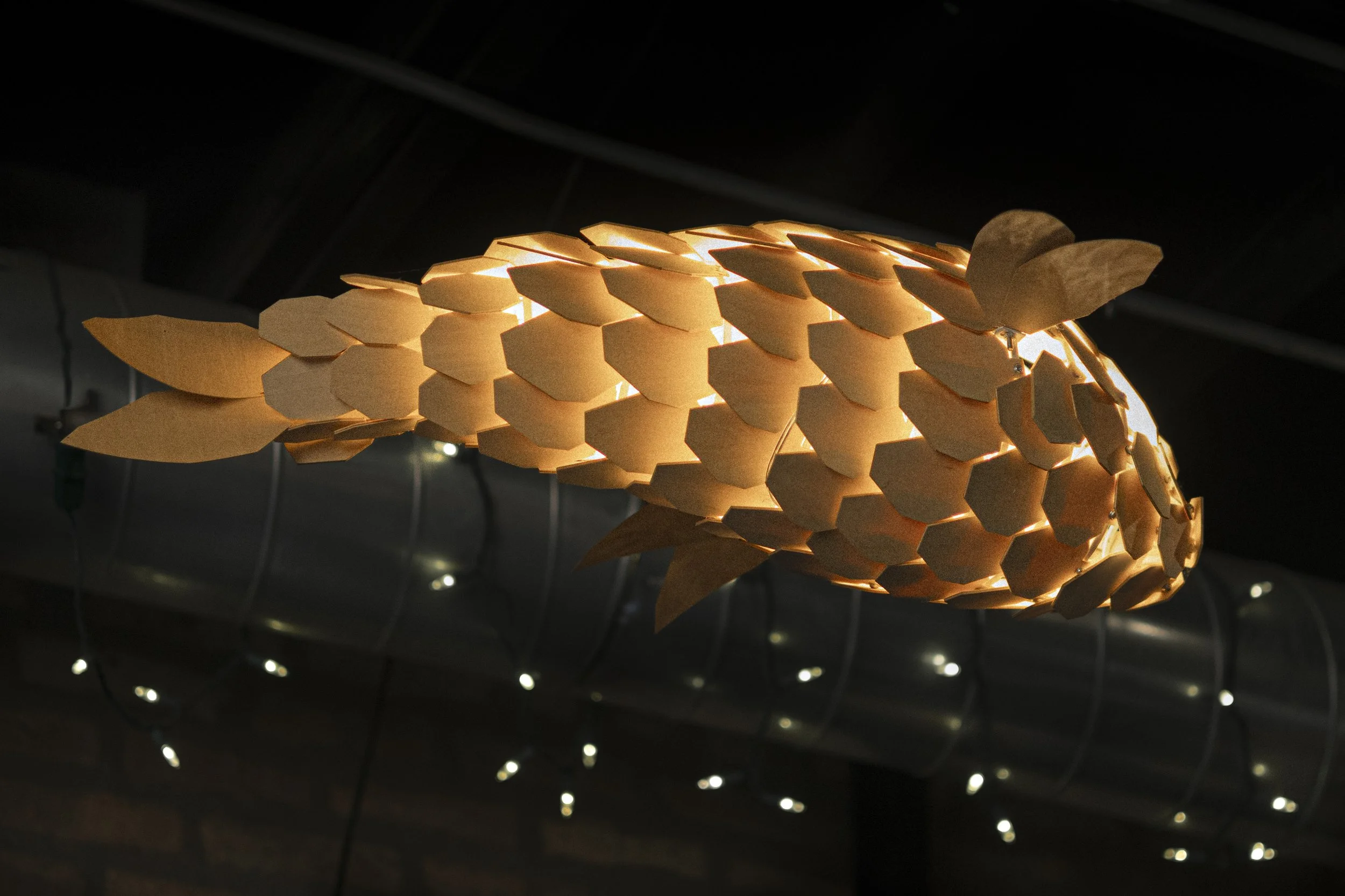 Zoe Naing 2 (Scales to Light)