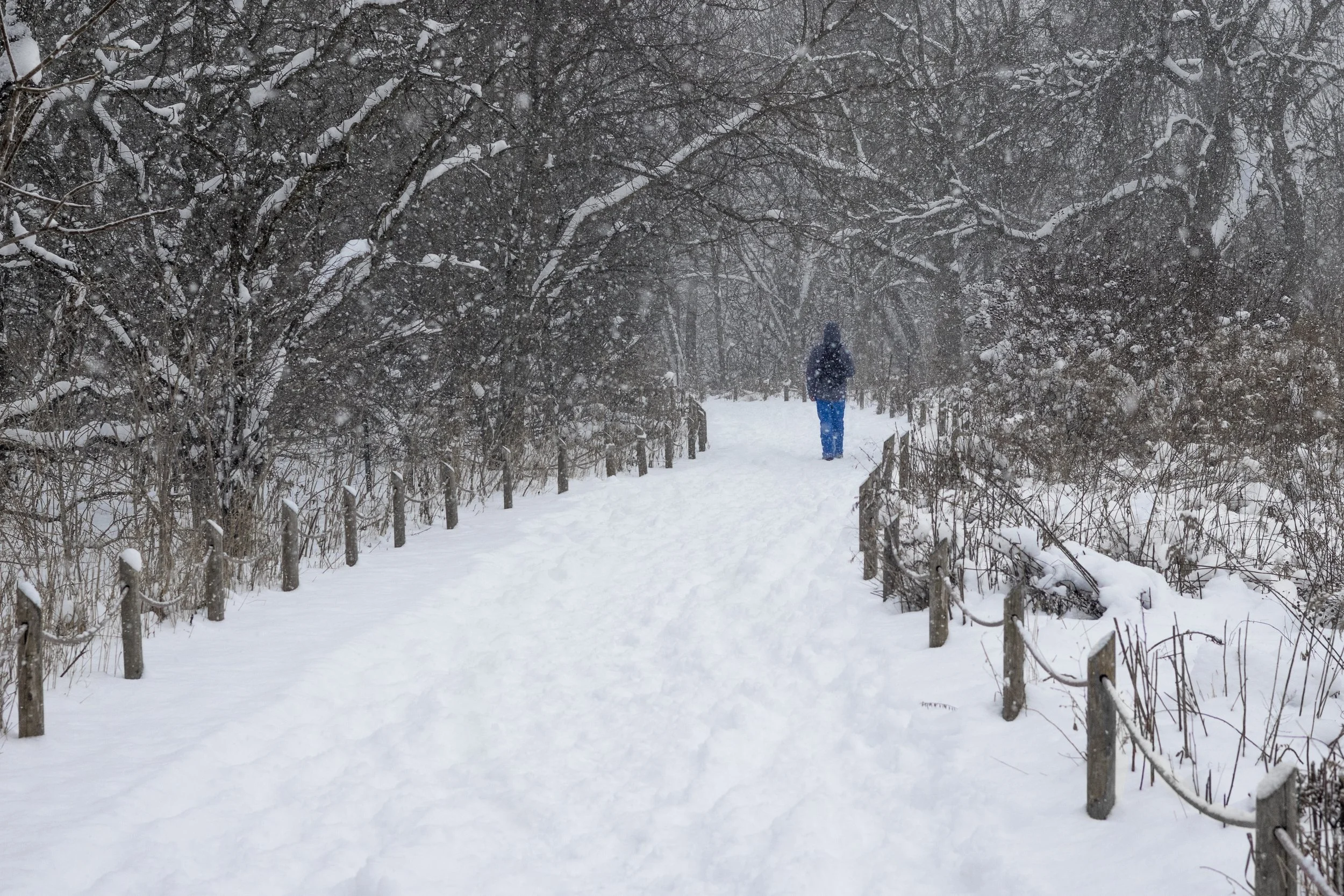 Nilo Anderson 1 (Steps Towards Serenity)