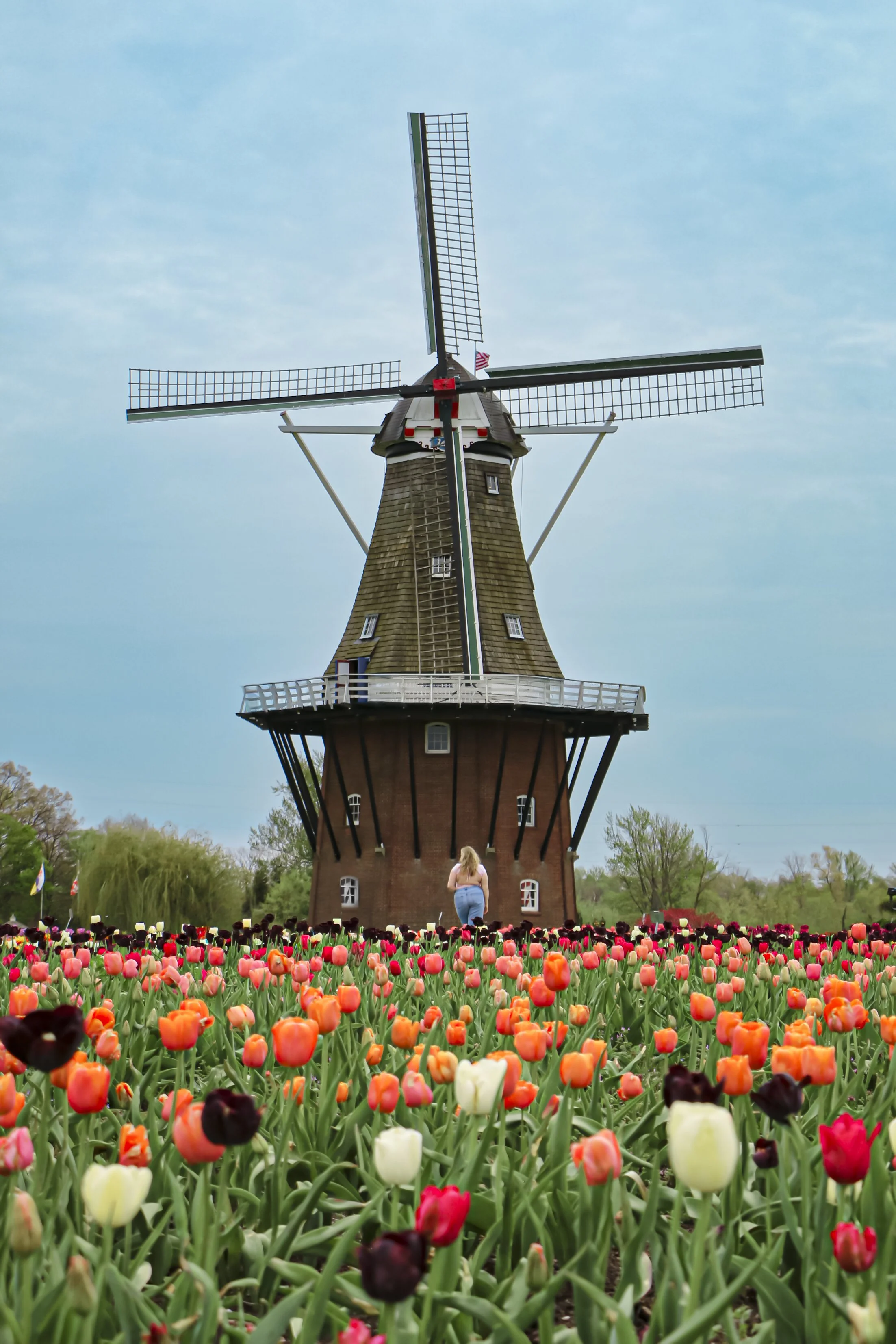 Delia den Bleyker Fanelli 1 (Holland, MI)