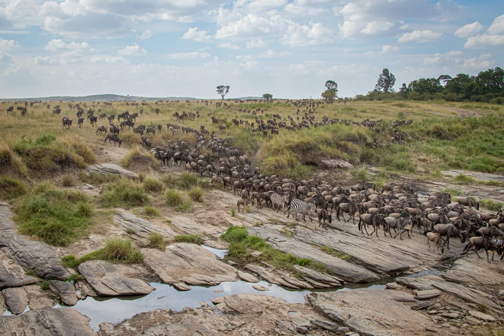 003-The Mara.jpg