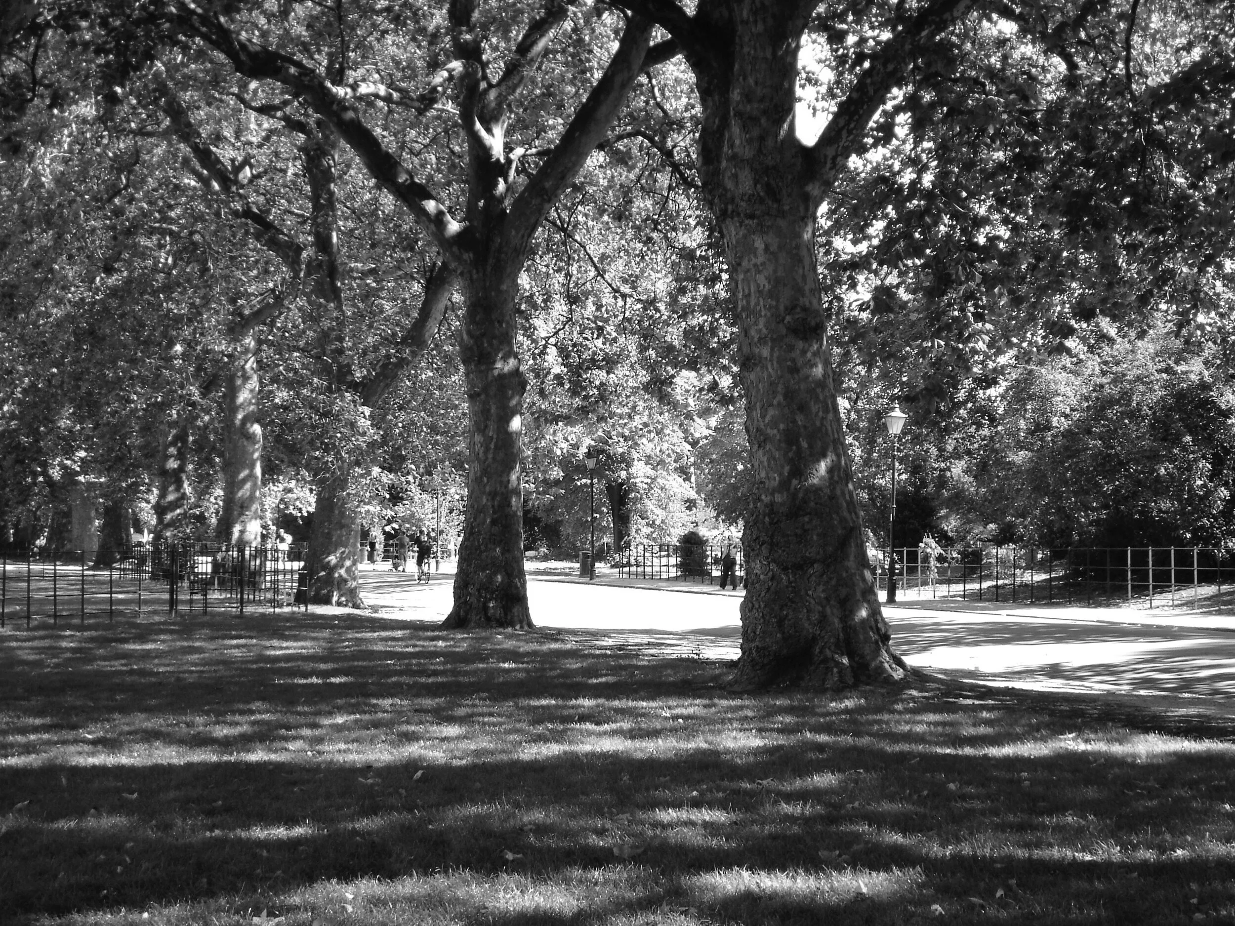 DSC00074.Battersea Park.B&W copy.jpeg